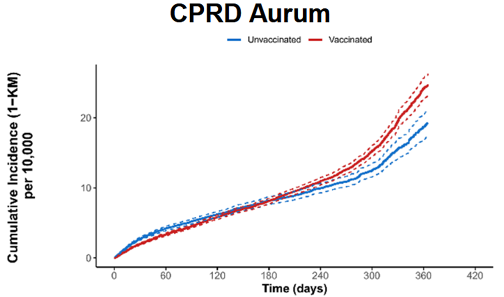 新的泄露的辉瑞报告显示，接种疫苗的人的心脏正在“迅速衰变”
